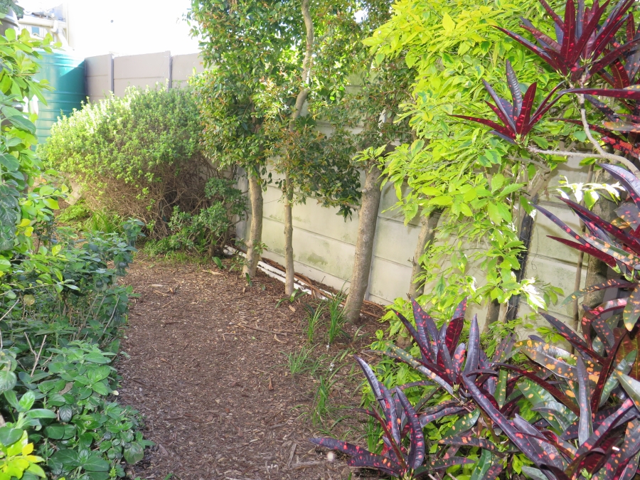 To Let 1 Bedroom Property for Rent in Mowbray Western Cape